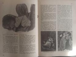 Eros Cinsel Bilim Ansiklopedisi Dergisi - Sayı:41 - 15 Aralık 1970 - Seks Kromatini - Seks Partileri - Havuzdaki Seks Partisi fotoğrafı - Seks Sterilizasyonu - Seksualite - Sembol - Eş Değiştirme Partisi fotoğrafı - Semen Boncuğu - Semen Taşı - Sendrom - Cinsel Sertbestlik - Albert Ellis - Ahlmark Michanek - Serenad - Sertleşme - Serviks Aşınması - Serviks Urları - Ses - Sevicilik - Dr. Beran Wolf - İki Kız fotoğrafı - N. Laforet ve S. Andron Bir Filmde Sevişme Sahnesinde - Gençler Arasında Sevişme - Bir ''Petting'' Sonrası fotoğrafı - Sevişme Sanatı - Sevmek - Sezaryen - Sifilis - Sifilofobi - Sihir - Siklofreni - Siklotim - Siklus - Simmond Hastalığı - Sims Hühner Testi - Regnault ''Üç Melek Louvre'' fotoğrafı ve haberi - Tam Takım Dergi