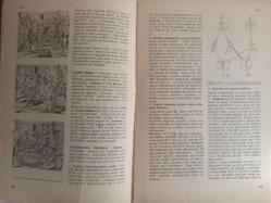 Eros Cinsel Bilim Ansiklopedisi Dergisi - Sayı:48 - 2 Şubat 1971 - Wassermann Testi - Oscar Wilde - Utangaç fotoğrafı - Y. Kromozomu - Yalan Söyleme Hastalığı - Yalancı Amenore - Yalancı Ergenlik - Yalancı Gebelik - Alexander Obrenoviç - Kral Alexander ve Kraliçe Draga fotoğrafı - Çariçe Aleksandra Feodorovna fotoğrafı - Yalancı Homoseksüellik - Yalancı İktidarsızlık - Yamyamlık - Yalancı Gebelik fotoğrafı - Yapışık İkizler - Yaratıklarda Dişi Erkek Oranı - Doğumda Rol Oynayan Faktörler - Yarım Erdenlik - Erkekte Yaş Dönümü - Tunç Oral ''Genç Sevgililer'' fotoğrafı - Lili Wanka - Kadında Yaş Dönümü - Yaş Dönümünün Gerçekleşmesi - Yaş Dönümü Şikayetleri - Deri Bozuklukları - Döl Yolu İltihaplanmaları fotoğraf ve haberi - Tam Takım Dergi