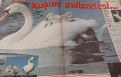 STAR DERGİSİ-STAR-DERGİ-13 ŞUBAT-1994-YIL:3-SAYI:122-KAPAK-FOTOĞRAF-RÖPORTAJ-MAGAZİN-SOSYETE-TARİH-BELGESEL-ASTROLOJİ-LIFESTYLE-CHRISTINA LEARDINI-RİO PLAJLARI-VOSVOS-MOSKOVA-AZERİ AKİF-BİYO ENERJİ UZMANI-AKİF HAMIDOF-OLIMPIK KOMPLEKS-17.KIŞ OLIMPIYATLARI-BEYAZ FELAKET-ÇIĞ-LEMAN SAM-CELALETTİN ÇETİN-KUTSAL DAĞLAR-TANRILARIN EVİ-KILAUEAMACHU PICCHU-SALVADOR DALI-MÜTHİŞ HEDİYELER-KUŞLARIN ASİLZADESİ-60MİLYARLIK ESERLER-SWEETİES-SADIK KUĞULAR-NEŞE YULAÇ-GÖKSEL ARSOY-GÖNÜL YAZAR-TÜRKAN ŞORAY-AYHAN IŞIK-FATMA GİRİK-NURETTİN ŞEVKATİ BEY-KINAR HANIM