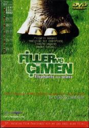 Filler ve Çimen Dvd