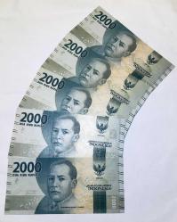 ENDENOZYA 2.000 RUPİ  2016  5 Li Seri TAKIM