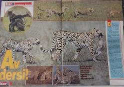 STAR DERGİSİ-STAR-4 EKİM-1992-YIL:1-SAYI:51-1992-KAPAK-FOTOĞRAF-RÖPORTAJ-MAGAZİN-SOSYETE-TARİH-BELGESEL-ASTROLOJİ-LIFESTYLE-ABHAZYA'DAN GELİYORUM-KADINLAR VE LAF ATMA-DÜNYANIN ÇATISINDAKİ ÜLKE:TİBET-ÜLKE-TİBET-ALÜMİNYUM ÖLDÜRYOR MU-LEOPAR YAVRULARININ İL AV DERSİ-AV DERSİ-YAVRU-EFSANEVİ SAVAŞ PİLOTLARI-SAVAŞ-PİLOT-AYA GİDECEK İLK TÜRK-MECLİSTEKİ İLK CİNAYET-LUSCIOUS LISA-HİNT-FAKİR-ÇAĞDAŞ-BARBARLIK-KAFDAĞI-ALZHEIMER-BİLİM ADAMLARI-CANLI BOMBA-KAMIKAZELER-İNTİHAR PİLOTLARI-DELİ HALİT PAŞA-KU KONG-ÇİN LOKANTASI-KASIM GÜLEK-NİLÜFER GÜLEK-LABİRENT-KRAL-ALEX CHAMPION-GÖTA KANALI-NORVEÇ