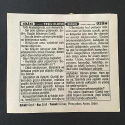 19 AĞUSTOS 1996 -TAKVİM YAPRAĞI-DOĞUM GÜNÜ HEDİYESİ-TÜRKİYE GAZETESİ TAKVİMİ,KÖPRÜLÜ FAZIL MUSTAFA PAŞANIN ŞEHADETİ 1691,TÜRK DENİZCİLİĞİNİN BAŞLAMASI 1890,DENİZCİLİK HAFTASI,YEŞİL ELBİSE,ÜZÜM