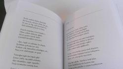 Kötülük Çiçekleri ( Les Fleurs du Mal )