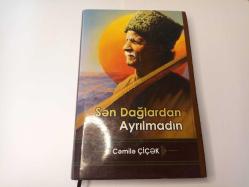 SEN DAĞLARDAN AYRILMADIN