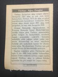 1 AĞUSTOS  2004 -TAKVİM YAPRAĞI-DOĞUM GÜNÜ HEDİYESİ-BİZİM ANADOLU TAKVİMLERİ,KIBRIS ADASI FETHEDİLDİ,1571,TÜRKİYE AĞAÇ ZENGİNİ,