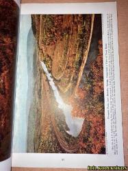 THE NATİONAL GEOGRAPHİC MAGAZİNE / AUGUST 1940  / NATİONAL GEOGRAPHİC SOCİETY / VİNTAGE MAGAZİNE / İNGİLİZCE DERGİ / (SAYFA ARALIĞI 141/272) / WEST VİRGİNİA TREASURE CHEST OF INDUSTRY - ENRİQUE C. CANOVA / THROUGH THE MOUNTAİN STATE - WENTZEL AND STEWART / BRİTAİN JUST BEFORE THE STORM - AMOS BURG / CANALS AND PAGEANTS OF PEACETİME ENGLAND / MAN'S CLOSEST COUNTERPARTS - WİLLİAM M. MANN / APES OF JUNGLE AND MOUNTAİN - ELİE CHEVERLANGE / ALONG ENGLAND'S HARASSED COAST / WANDERERS AWHEEL İN MALTA - RİCHARD WALTER / AĞUSTOS 1940 / HAFİF YIPRANMALARI MEVCUT