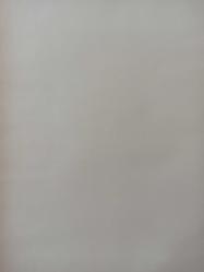 28 Eylül 1981 - Eski Galatasaray ve Fenerbahçe oyuncusu Şevki Vefaspor'a kiralandı - B. Metin bu sezon Yeditepe'de kiralık oynayacak seneye de Yeditepe'nin malı olacak fotoğraf ve haberi - Gazete haberi - Tek Yaprak Arkalı Önlüdür