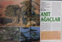 HÜRRİYET GAZETESİ-HÜRRİYET MAGAZİN-MAGAZİN DERGİ-29 EYLÜL-1991-SAYI:26-KAPAK-FOTOĞRAF-RÖPORTAJ-ÖLDÜREN CAZİBE-ESRARLI KADIN-ANIT AĞAÇLAR-ELEKTRONIK RUH DOKTORU-KILLAR VE AKILLAR--SEAN YOUNG-CINDY CRAWFORD-GÜZELLİĞİN PAZULARI-TULUĞ TOPA-ZEYNEP EVERİ-HOLLYWOOD-TANGO-BUENOS AİRES-HÜZNÜN SERT ADIMLARI-FRANÇOİS MİTTERRAND-GEORGE BUSH-DÜNYAYI YÖNETEN ÇILGINLAR-BEDEL-TAHRİK-PARFÜM-BEY DAĞLARI-ELMALI ÇIĞLIKARA-KIL-AKIL-ERTUĞRUL ZORLUTUNA-CEVHER ÖNAL-SOSYETE-CANEL KANKAT-TOMJONES-DENİZ ADANALI-AİRPORT