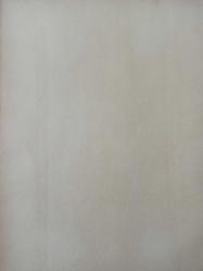 1 Ekim 1981 - 1. FC Kaiserslautern futbol takımı posteri - Tabellensechzehnter - Trainer fotoğraf ve haberi - Gazete haberi - Tek Yaprak Arkalı Önlüdür