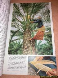 THE NATİONAL GEOGRAPHİC MAGAZİNE / OCTOBER 1958 / NATİONAL GEOGRAPHİC SOCİETY / VİNTAGE MAGAZİNE / İNGİLİZCE DERGİ / (SAYFA ARALIĞI 443-592) / IRAQ - WHERE OİL AND WATER MİX - JEAN AND FRANC SHOR & J. BAYLOR ROBERTS / NATURE CARVES FANTASİES İN BRYCE CANYON - WİLLİAM BELKNAP JR. / FLİGHT OF THE PLATYPUSES - DAVİD FLEAY / THE ISLANDS CALLED FİJİ - LUİS MARDEN / SWİTZERLAND'S ONCE IN A GENERATİON FESTİVAL - JEAN AND FRANC SHOR / THEODORE ROOSEVELT A CENTENNİAL TRİBUTE - BART MCDOWELL / MAPS KEEP PACE WİTH WORLD EVENTS / EKİM 1958 / HAFİF YIPRANMALARI MEVCUT