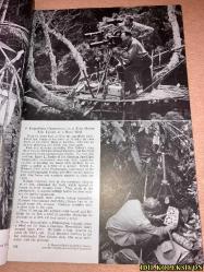 THE NATİONAL GEOGRAPHİC MAGAZİNE / APRİL 1953  / NATİONAL GEOGRAPHİC SOCİETY / VİNTAGE MAGAZİNE / İNGİLİZCE DERGİ / (SAYFA ARALIĞI 421-564) / NEW GUİNEA'S RARE BİRDS AND STONE AGE MEN - E. THOMAS GİLLİARD / THREE MONTHS ON AN ARTİC ICE ISLAND - JOSEPH O. FLETCHER / EYES ON THE CHİNA COST - GEORGE W. LONG / WASHİNGTON'S HİSTORİC GEORGETOWN - WİLLİAM A. KİNNEY & B. ANTHONY STEWART AND JOHN E. FLETCHER / REPORT FROM THE LOCUST WARS - TONY AND DİCKEY CHAPELLE / THO SOCİETY'S HUBBARD MEDAL , AWARDED TO COMMANDER MACMİLLAN / NİSAN 1953 