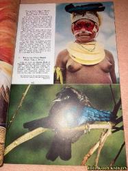 THE NATİONAL GEOGRAPHİC MAGAZİNE / APRİL 1953  / NATİONAL GEOGRAPHİC SOCİETY / VİNTAGE MAGAZİNE / İNGİLİZCE DERGİ / (SAYFA ARALIĞI 421-564) / NEW GUİNEA'S RARE BİRDS AND STONE AGE MEN - E. THOMAS GİLLİARD / THREE MONTHS ON AN ARTİC ICE ISLAND - JOSEPH O. FLETCHER / EYES ON THE CHİNA COST - GEORGE W. LONG / WASHİNGTON'S HİSTORİC GEORGETOWN - WİLLİAM A. KİNNEY & B. ANTHONY STEWART AND JOHN E. FLETCHER / REPORT FROM THE LOCUST WARS - TONY AND DİCKEY CHAPELLE / THO SOCİETY'S HUBBARD MEDAL , AWARDED TO COMMANDER MACMİLLAN / NİSAN 1953 