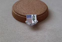 AMERİKAN ASKERİ DOKTOR ROZETİ - MADALYA C698