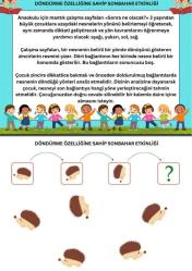 Cırt Cırtlı Etkinlik Eğitim Seti (Okul Öncesi ve 1.2. Sınıflar)