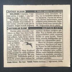 13 ARALIK 1995 -TAKVİM YAPRAĞI-DOĞUM GÜNÜ HEDİYESİ-TÜRKİYE GAZETESİ TAKVİMİ,1.MAHMUD UN VEFATIVE 3.OSMANIN TAHTA ÇIKIŞI 1754,Z.YAĞLI KEREVİZ DOLMASI,MARTININ KEYFİ