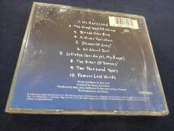 BILLY JOEL RIVER OF DREAMS MÜZİK CD