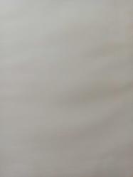 12 Nisan 1982 - Fenerbahçe'de garip şeyler oluyor - Tamer Güney'in görevine son verildi - Sari Lacivertli takımı ancak iki saat çalıştıran Güney'in hakkındaki karar Eskişehir'de açıklandı fotoğraf ve haberi - Gazete haberi - Tek Yaprak Arkalı Önlüdür