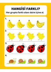Okul Öncesi Farklı Olanı Bul YAZ-SİL Kitabı