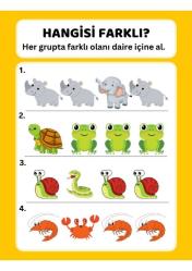 Okul Öncesi Farklı Olanı Bul YAZ-SİL Kitabı