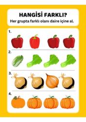 Okul Öncesi Farklı Olanı Bul YAZ-SİL Kitabı