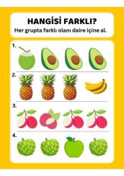 Okul Öncesi Farklı Olanı Bul YAZ-SİL Kitabı