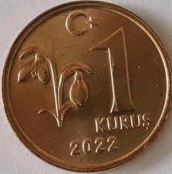 Türkiye Cumhuriyet  2022 Yılı 1 Kuruş