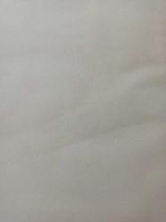 15 Nisan 1982 - İnönü Stadı'nın önündeki trafik sıkışıklığı giderildi - Tamer Güney'in görevine son verildi - İki Alman vücut şampiyonu bayan birinci Ulrike Mayer'i göğüs farkı ile geçti fotoğraf ve haberi - Gazete haberi - Tek Yaprak Arkalı Önlüdür