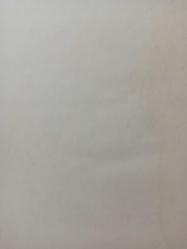 14 Nisan 1982 - Fenerbahçe soyunma odasında kimsenin ağzını bıçak açmıyordu - Benim için heyecanlı bir maç oldu - Ayaklarım daha açılmadı - Sizleri bundan sonraki maçlarda görün ne goller atacağım fotoğraf ve haberi - Islak kalemle a4 kağıdına yazılmış bilgi notu - Tek Yaprak Arkalı Önlüdür