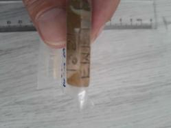 Emel 1551 Yazılı İsim Mühür Pirinç