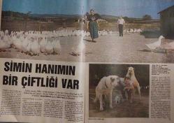 GÜNEŞ PAZAR DERGİSİ-GÜNEŞ-DERGİ-PAZAR -14 EKİM 1990-SAYI:18-KAPAK-FOTOĞRAF-RÖPORTAJ-ÖPTÜM,ÖPTÜ,ÖPÜŞTÜK...-İLK SÜPER TÜRK BELGESELİNİN ÖYKÜSÜ-AH BİR KAPİTALİST OLSAYDIM-LEVI STRAUSS-ZAMAN TÜNELİ-MARLBORO ANTALYA PİST YARIŞI-VİLDAN ÇETİN-DICK TRACY-DESMOND MORRIS-ROMY SCHNEIDER-MADONNA-LUCIANO PAVAROTTİ-SPOR YAPANLAR-YAPMAYANLAR-DOĞAN CANKU-DERYA BAYKAL-ALİ BARS-ZERRİN ARBAŞ-MELTEM HAKARAR-ÖZKAN KAYMAK-ZEYNEP FADILLIOĞLU-ÇINAR KILIÇ-SİMİN DİRİK-GEBZE-CUMA KÖYÜ-ÇİFTLİK-FATİH KISAPARMAK-TURKUAZ-ARİF AŞÇI-ORHUN ANITLARI-ERSİN ALOK-GENNADY MIZKİNOV-BENİM ŞEHİRLERİM-NEW YORK-ZUHAL OLCAY-DENİZDEKİ PERİ BACALARI-SİREN KAYALIKLARI-PARK ŞAMDAN