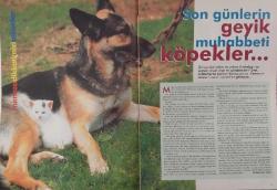 SABAH GAZETESİ-MİMOZA KADIN DERGİSİ-MİMOZA-DERGİ-KADIN-12 OCAK-2000-SAYI:101-KAPAK-FOTOĞRAF-RÖPORTAJ-MODA-GECE GÜNDÜZ ŞIKLIĞI-FARKI FİYATI-SEKSİN ÖNEMİ-MAKYAJ RENKLERİ-AŞIK OLUNACAK ERKEK YOK-YAKINLARININ GÖZÜYLE HÜLYA AVŞAR-2000 KADINLARI-TARKAN-50'LİK KADIN GAZETECEİ MESELESİ-ALEV ÜBUZİYYA-YASEMİN DALKILIÇ-GÜLER SABANCI-TAYYİBE GÜLEK-TÜRKAN SAYLAN-MELTEM CUMBUL-YEKTA KARA-AYŞE BİRSEL-MÜGE TANIK-ŞİRİN PANCAROĞLU-PINAR KAPRALI-AYSEL ÖZAL-EMRAL AVŞAR-HELİN AVŞAR-GÜLÜMSER ÇİLİNGİROĞLU-UĞUR POLAT-BİNNUR ŞERBETÇİOĞLU-TOMRİS GİRİTLİOĞLU-DANSÖZ-YEŞİM YILDIZ-KAYA ÇİLİNGİROĞLU-BEYAZIT ÖZTÜRK-BEYAZ