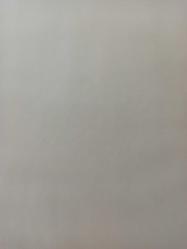 13 Aralık 1981 - Hülya Koçyiğit: ''Yılın Sporcusu'' adayım Efe Aydan - Eşi, eski Fenerbahçeli futbolculardan Selim Soydan ile birlikte basketbol maçlarını televizyondan izlediğini belirtiyor güzel sanatçı fotoğraf ve haberi - Gazete haberi - Tek Yaprak Arkalı Önlüdür