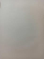 13 Aralık 1981 - Garo hem yöneticilik hem futbolculuk yapıyor - Anadolu'da genel kaptan Taksim'de takım kaptanı - Garo Teknik direktör Sabri Kiraz ile birlikte bir maçı izlerken fotoğraf ve haberi - Gazete haberi - Tek Yaprak Arkalı Önlüdür