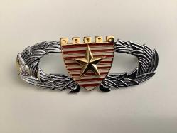 ÇİN İKİ ADET METAL ARMA