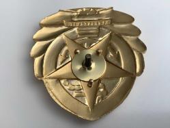 ÇİN İKİ ADET METAL ARMA