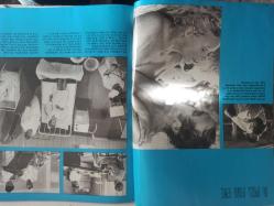 Cinema X İngilizce Aktüalite Sinema Tiyatro Müzik ve Magazin Dergisi - No:8 - Biblical - Biography - Drama - İnterview - İntrigue - Psychology - Romance - Sadism - Satire -  - Social - Western - Youth - The Hot Desire - Anna Gael - Double Face - The Sisters - Model Shop - The Eyes - İ See Naked - A Pill For Eve - After Love - Desperados - Eros and Thanatos - Skidoo - Hung Up fotoğraf ve haberi - Tam Takım Dergi