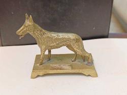 K53------KAİDELİ KÜÇÜK BOY PİRİNÇ KURT BİBLO