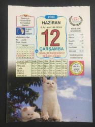 12 HAZİRAN 2024 -TAKVİM YAPRAĞI-DOĞUM GÜNÜ HEDİYESİ-VASIF ÜLKÜ TAKVİMİ,KEDİ,YAVRUNUZA İSİM,URFA ŞANLIURFA OLARAK DEĞİŞTİRİLDİ 1984,TÜRKİYE KKTC ARASINDA PASAPORT UYGULAMASI KALDIRILDI1991 ,UZAY KAMPI İZMİRDE AÇILDI 2000,GDO ÜRETİLMESİNDE AB  TERCİHİ ÜYE ÜLKELERE BIRAKTI 2014,MİNAKOP,OTHELLO,MERCİMEK SALATASI