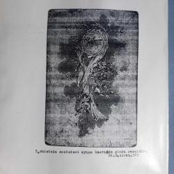 Tarihi Fotoğraf ve Kartpostal Albümü