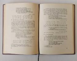 Modern Iraqi Poetry / Social and Political Influences