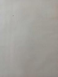 12 Ocak 1982 - Fransız su perileri, Ekvador'daki Dünya Şampiyonasına güney sahillerinde hazırlanıyor - Dışarda kar, buz- eksi altı - Ama Avrupa'nın titrediği şu saatlerde sudan çıkmayan periler var fotoğraf ve haberi - Gazete haberi  - Tek Yaprak Arkalı Önlüdür