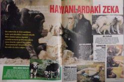 HÜRRİYET GAZETESİ-SHOW DERGİSİ-18 EKİM-1992-SAYI:30-BRİGİTTE NİELSEN-KAPAK-FOTOĞRAF-RÖPORTAJ-BRIGITTIE NIELSEN-RIDVAN DİLMEN-O NE GÜNDÜ AMA-HER İNSANIN YAŞAMINDA UNUTAMADIĞI HEYECAN DOLU BİR GÜN VAR-KIRMIZI CAZİBE-TUTKUNUN RENGİYLE KADINLAR DAHA ŞIK DAHA GÜZEL-DİLİMİZDEKİ TAKINTILAR-BANA ŞEYTAN DEMEYİN-RIDVAN ÖZEL YAŞAMINI ARTUN ÜNSAL'A ANLATTI--FACE TO FACE-ALBA PARİETTİ-YILMAZ ZAFER-NİLÜFER AÇIKALIN-AIDS-MERLİN YASASI-MATHİLDE MANUKYAN-DEBORA CAPRİOGLİO-TOM CRUİSE-MİCHELLE PFEİFFER-KİM BASİNGER-SELCAN KIRCA-SEMA SİPAHİOĞLU-CHRİSTOPHER LAMBERT-MADONNA-QUASİMODO-TURGUT ÖZAL-EFE-ZEYNEP ÖNAL-GİRNE-AYŞE ATAKAN-FATOŞ ÖNAL-SEZEN AKSU-NEŞE ERBERK-DİLİMİZDEN DÜŞMEYEN-AZADE TONER-YASEMİN KAMHİ-OSMAN ÇARMIKLI-FEYYAZ TOKAR-AŞK-TEST-ALEV KOMİLİ-LEYLA MARDİN-SEMA KAYNAR-FERİDE ÇACUŞOĞLU-ŞELE ÇAVUŞOĞLU-DENİZ MURATHANOĞLU-TÜLİ KAMHİ-YOLANGA ERTUNGA-BEKIS SABANCI-DENİZ KURBANZADE-RÜKSAN ÜRGÜPÜLÜ-SOSYETE-HAYVAN ZEKASI-KARİKATÜR-BURÇLAR-BULMACA