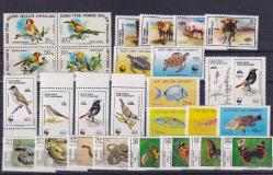 kktc tüm hayvan serileri mnh 5125tl kat değeri
