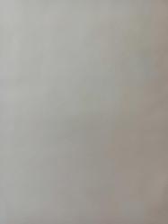 19 Ocak 1982 - İETT antrenörü Kemal Demirsüren, başarılı olan yıldız güreşçilere çikolata ikram etti - İlyas Tüfekçi, Schalke'nin bir numaralı ası oldu, eski antrenörü Sundermann her maçta ölüp ölüp diriliyor  fotoğraf ve haberi - Gazete haberi - Tek Yaprak Arkalı Önlüdür