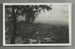 AĞACIN DALLARI ARASINDA AFYONKARAHİSAR ŞAHANE ESKİ ORİJİNAL FOTOKART...