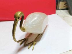 P65---MISIR TURNASI KUŞ BİBLO