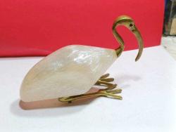 P65---MISIR TURNASI KUŞ BİBLO