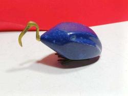 P65---MISIR TURNASI KUŞ BİBLO