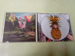 Gülşen Bangır Bangır müzik CD si